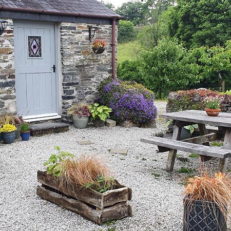 Mimi'S Cottage ลิสคาร์ด ภายนอก รูปภาพ
